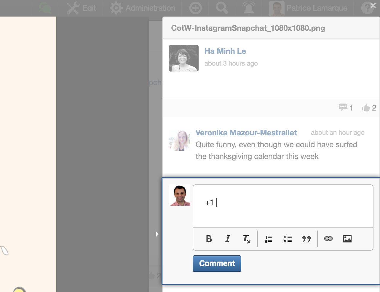Text formatting in Document Preview side panel