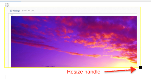 share image in Platform 5.0 Sneak Peek