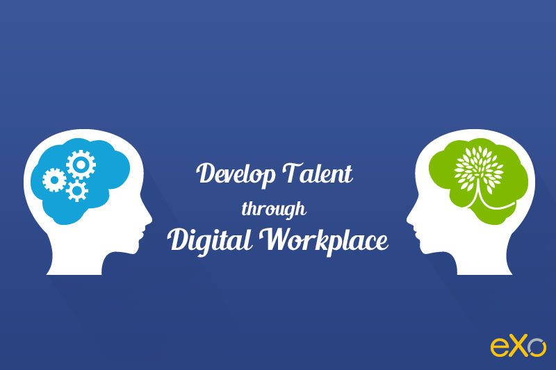 Employee Training and Development in HR Management